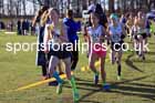 Girls under-13s 2025 Northern Cross Country Champs, Tatton Park, Knutsford, Cheshire. Photo: David T. Hewitson/Sports for All Pics